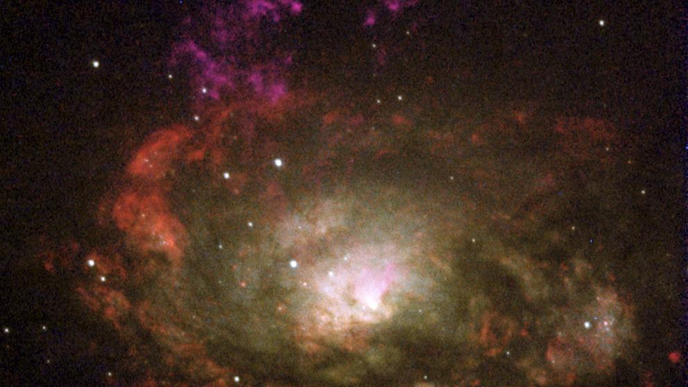 The center of the Circinus Galaxy